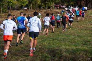 Semimaraton Porolissum 2026
