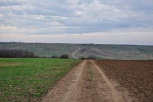 Bencec Rolling Hills