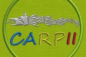 Alergarea Carpilor