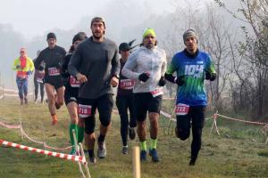 Lunca Timișului  CX 2026