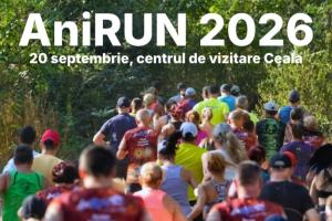 AniRUN 2026